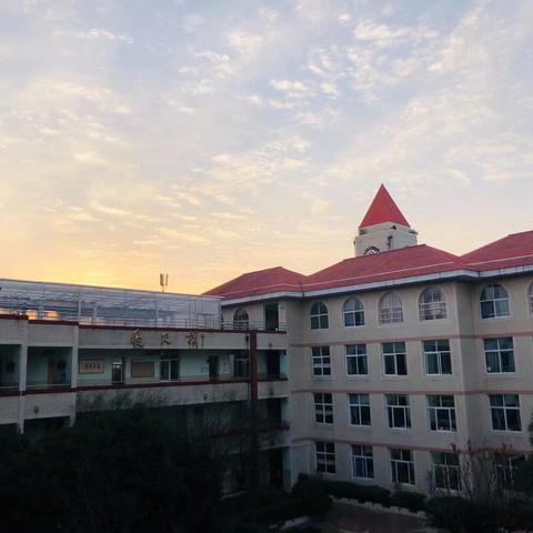 单元作文：生活万花筒