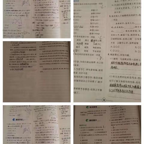 鸿露组周末小组总结。