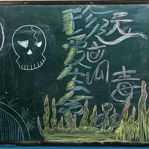 《珍爱生命 远离毒品》——22秋2班
