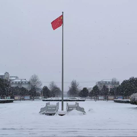 齐心协力，清扫积雪——五女店镇清雪除冰在行动