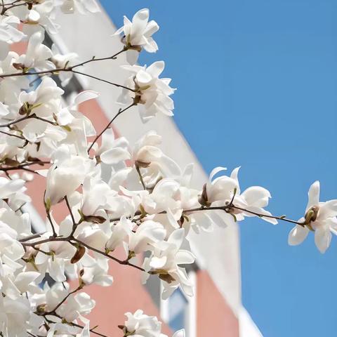 素养导向探命题 情境驱动促进阶