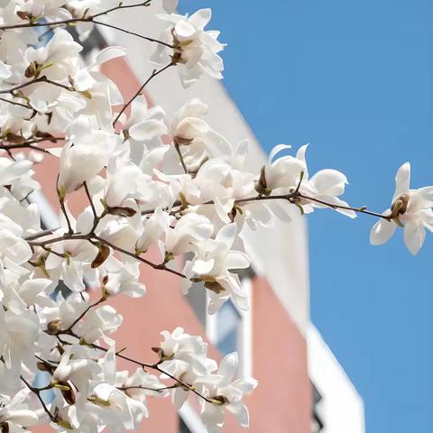 春风化雨润课堂，教研花开绽芳华