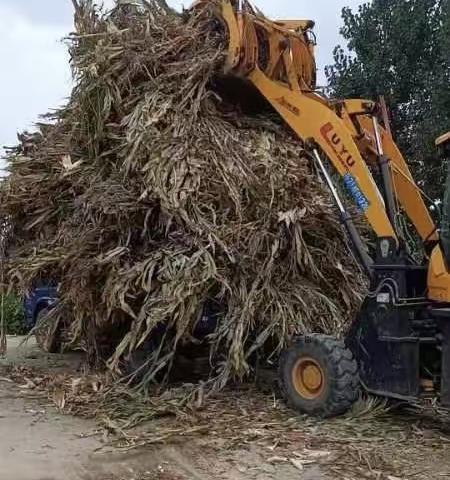 罗屯镇各村设立秸秆临时存储点，方便老少爷们清理秸秆