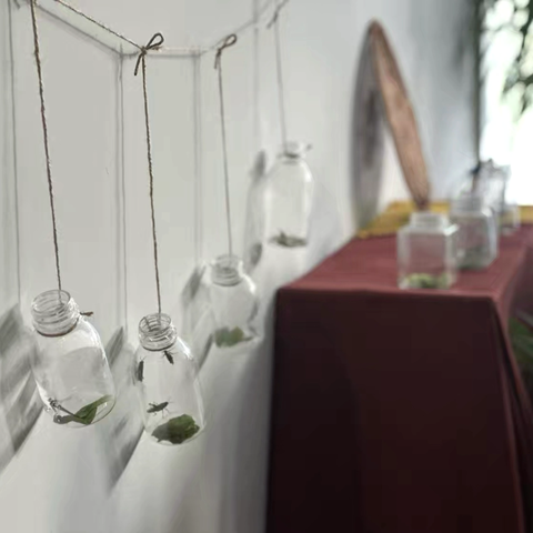 东城幼儿园中班主题三《落叶飘飘》之《秋虫的歌》