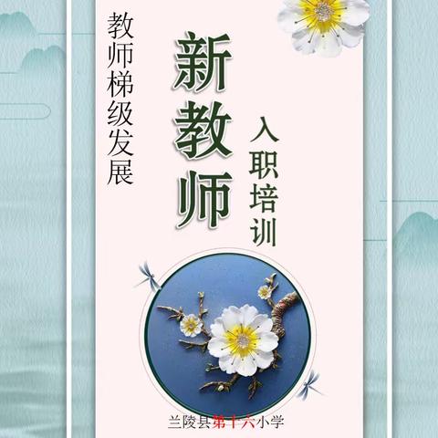 教师梯级发展——兰陵县第十六小学新教师入职培训