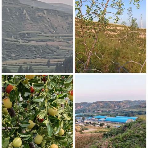 用户14219299的简篇（副本）