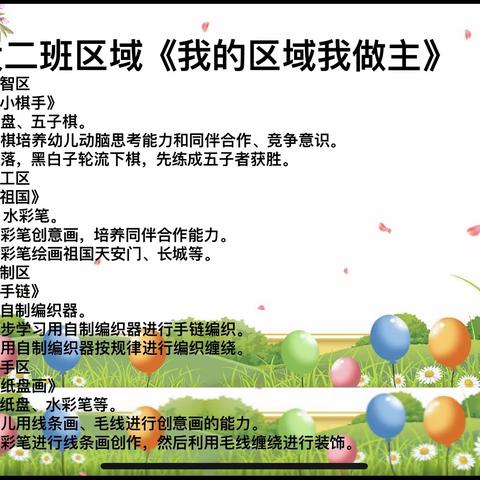 大二班区域活动《我的区域我做主》2023.11.17