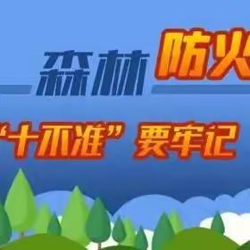 护林防火    文明祭祀——利民小学森林防火及文明祭祀宣传