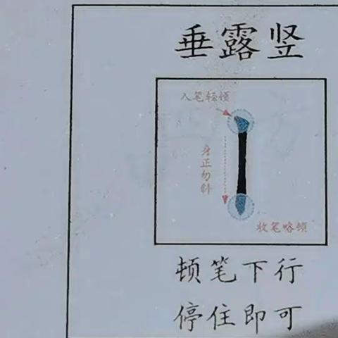 初级班垂露竖范字