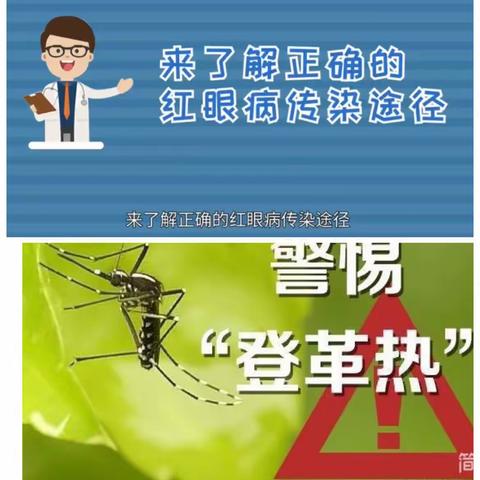 三亚市第九小学教育集团关于开展预防红眼病、登革热疾病传播的专项工作