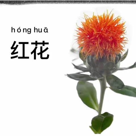 一耕一锄共倾注，育起小小“百草园”