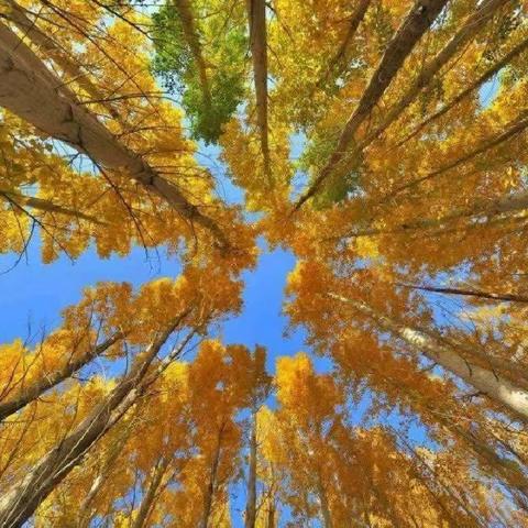 工业设计2202王连增