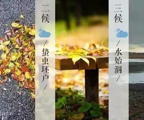 二十四节气———“秋分”