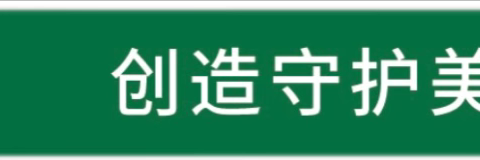 宣城中环洁城市环境服务有限公司工作日报2024.11.4