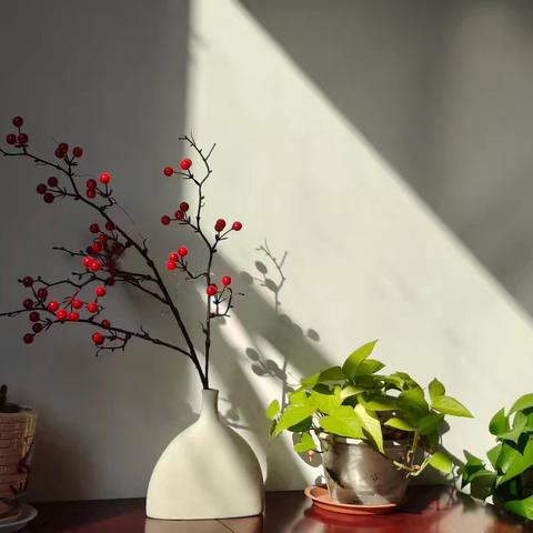 方寸天地藏雅韵，凝心聚力筑温情——东乡实验中学11月份“文明办公室”评比风采展示