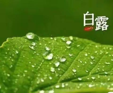 秋意渐浓，万物有收——会同县第二幼儿园中一班白露主题活动