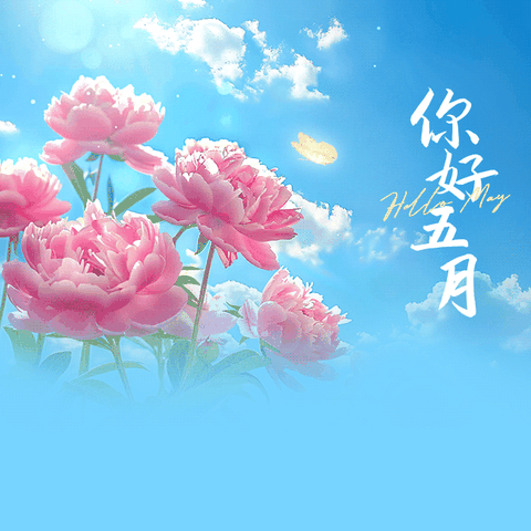 五月缤纷，记录成长——红太阳幼儿园中班活动回顾