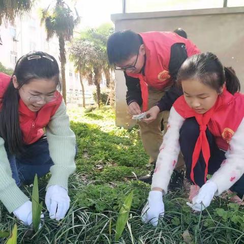 相约植树节 爱在春天里——育才小学2023年植树节系列活动