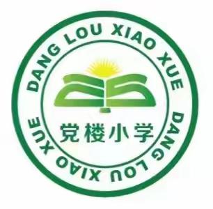 党楼小学举行“学队史，敬队礼”活动