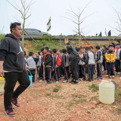 又是一年芳草绿     我（们）为山林穿绿衣