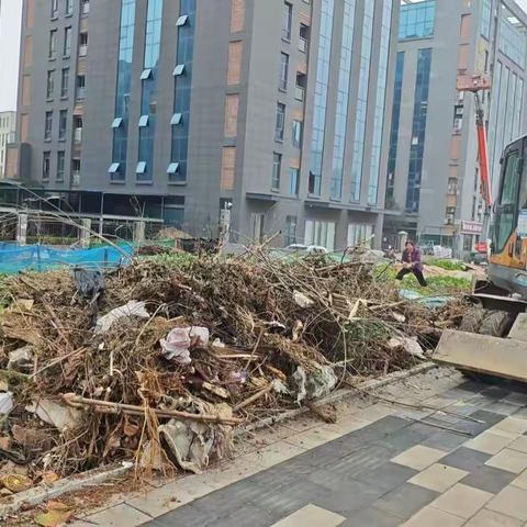 佛祖岭街综合执法中心重拳出击，整治违规开荒种菜与乱倒渣土乱象