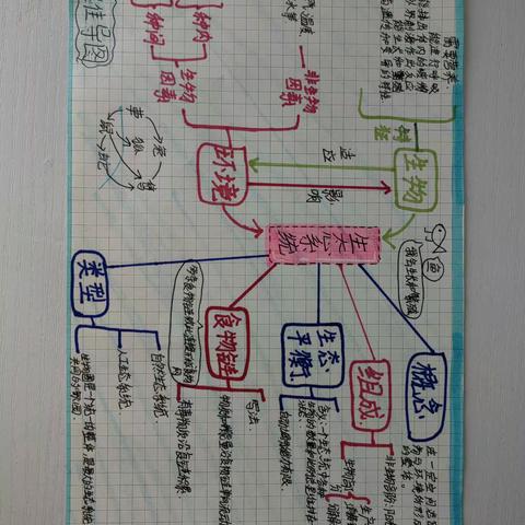 七年五班第一单元思维导图