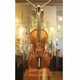 科学城小学北校区弦乐团开始报名啦