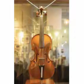 科学城小学东校区弦乐团开始报名啦