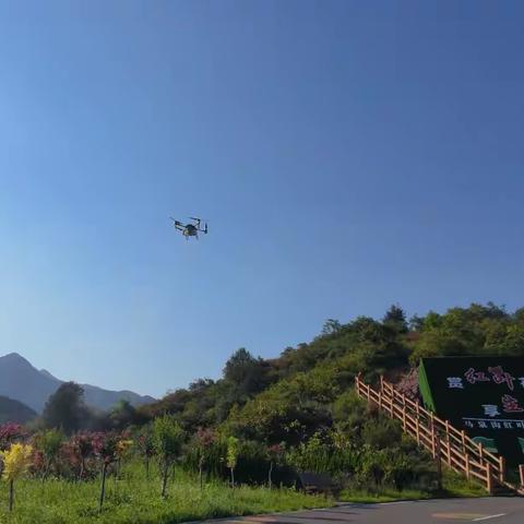 三门镇马泉沟村：治理红叶“虫害”，扮靓景区颜值