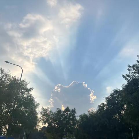语文中心组寒假学习——孙如意