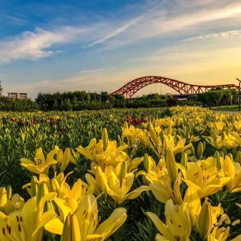 【课程故事】我的探索之旅——富平，我的家——富平县富丹友谊幼儿园中三班