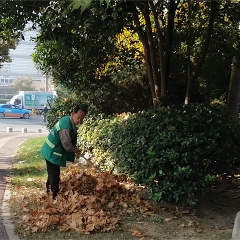 清扫落叶，防止火灾