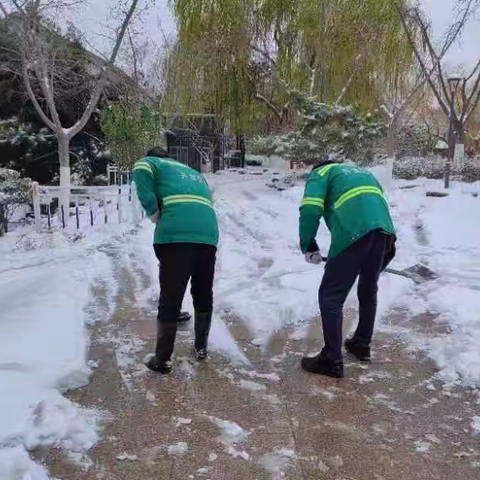 以雪为令 全员出动全力清雪保畅通