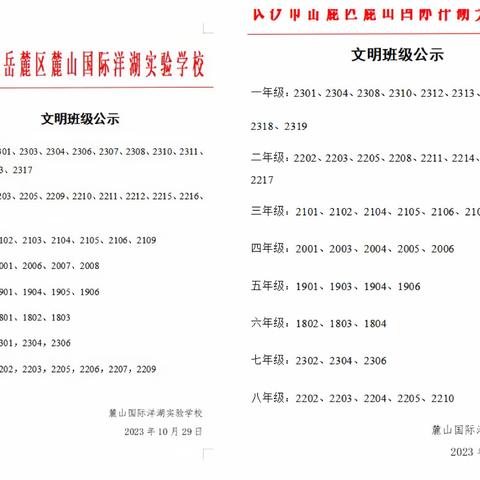 麓洋2215班第九、十周周总结