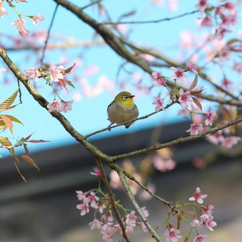 师生同台 共炫风采