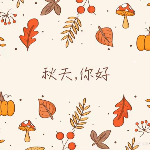 《秋天“薯”于我们》亲自然秋收活动——小不点幼儿园中班组