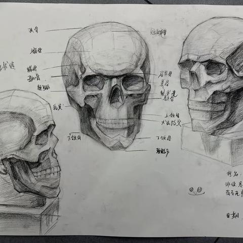 寒假班4C今日学生画面