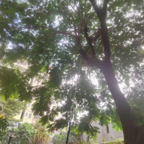 可乐园晟佳物业10月工作汇报