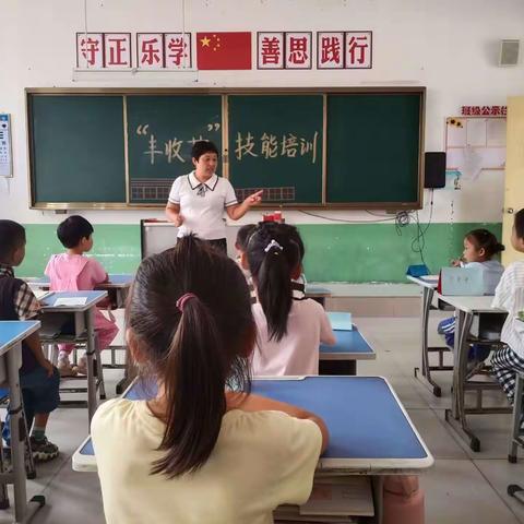 行村镇小学“丰收节”里的劳动美