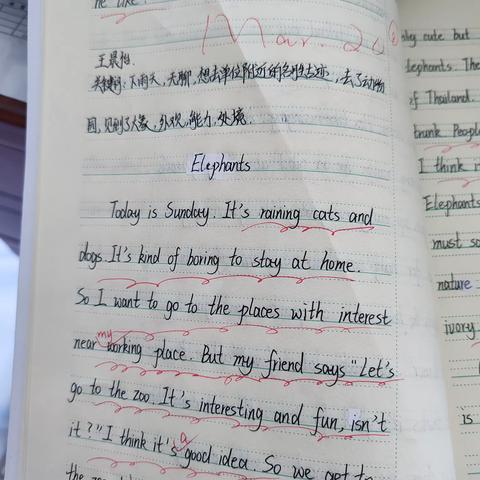 第六单元限时作文