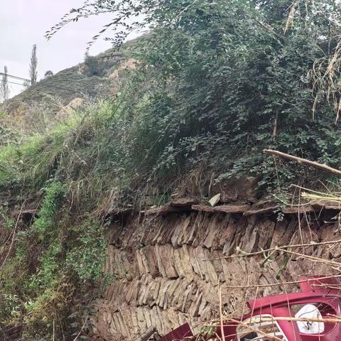 33年后的故地重游