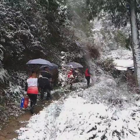 心系失独老人 雪天慰问暖人心