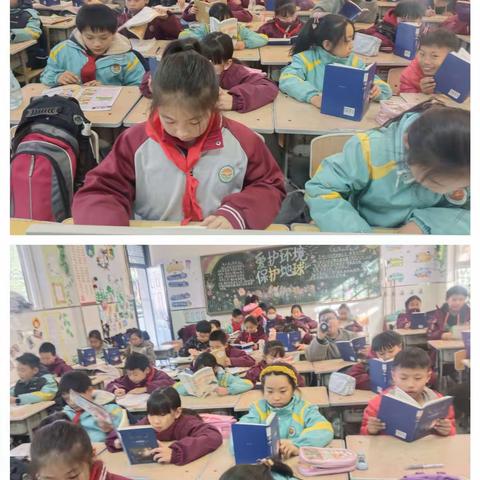 【枣园科教】五年级一班——悦读伴成长，书香满校园