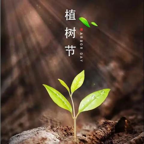 红旗初级中学开展“植树，爱护环境”主题活动