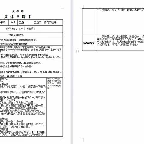 中班下科学领域《小小飞机场》教学设计