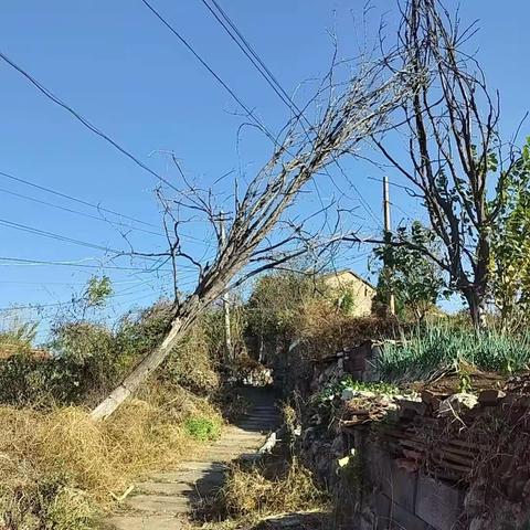 城东街道安上村安全隐患排查工作纪实