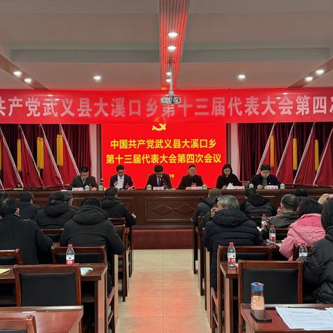 中共大溪口第十三届代表大会第四次会议胜利召开