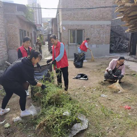 教场坪居民区党支部 清理小区杂草 美化人居环境