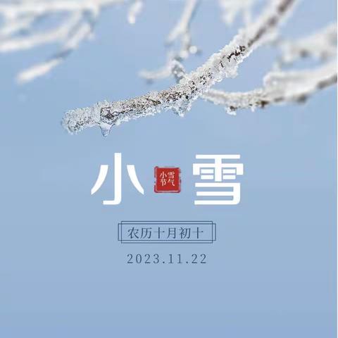 恰逢小雪 择菜而“腌”——大四班食育故事