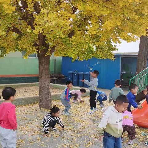 秋叶🍂“拾”趣—东五里屯幼儿园